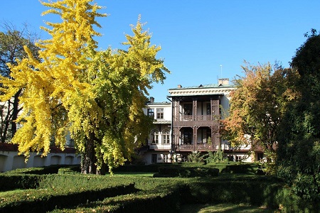 Budynek Instytutu Pedagogiki UJ przy ulicy batorego 12 w Krakowie, widok od strony ogrodu na altanę i drzewo w jesiennych kolorach.
